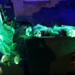 20231027 195005 150x150