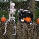 396161974 350359487662296 1461897210177545642 n 150x150