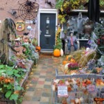 IMG 20211030 WA0015 150x150