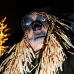 IMG 20211104 WA0026 150x150