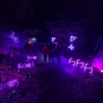 IMG 20240819 WA0087 150x150