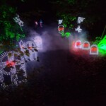 IMG 20240819 WA0097 150x150