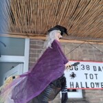 inbound2788281609539858969 150x150