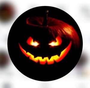 inbound9129074012899796653 300x293