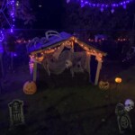 2024 10 11 20 40 02 IMG 6022 150x150