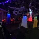 2024 10 11 20 40 12 IMG 6023 150x150