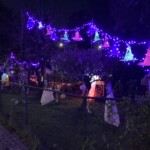 2024 10 11 20 40 49 IMG 6027 150x150