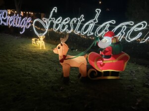 IMG 20221216 200748 300x225