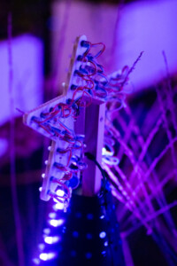 DSC6595 683x1024 1 200x300